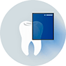 Teeth