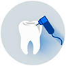 Teeth