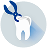 Teeth