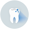 Teeth