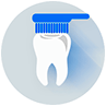 Teeth